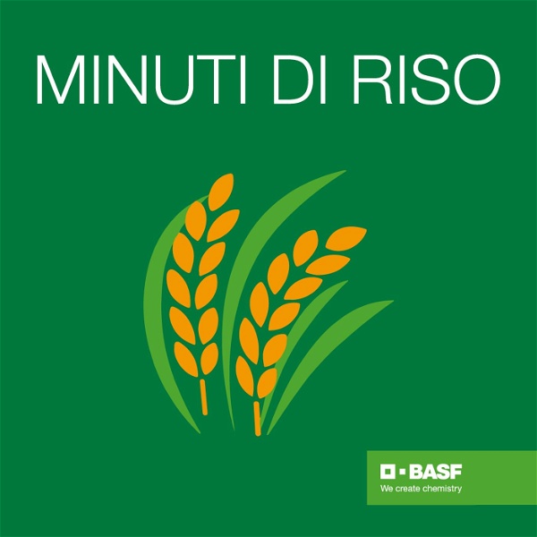 Artwork for MINUTI DI RISO