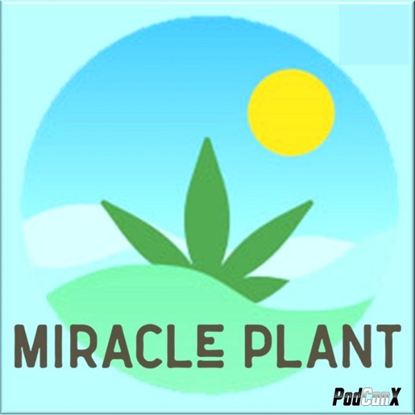 Artwork for Miracle Plant