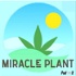 Miracle Plant