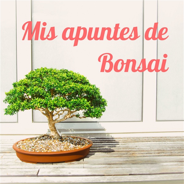 Artwork for Mis apuntes de Bonsai