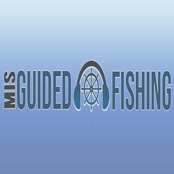 Artwork for Misguided Fishing