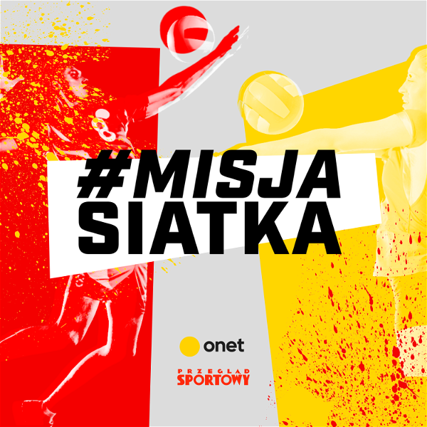 Artwork for #MisjaSiatka