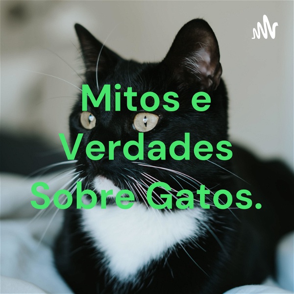 Artwork for Mitos e Verdades Sobre Gatos.