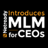 MLM for CEOs