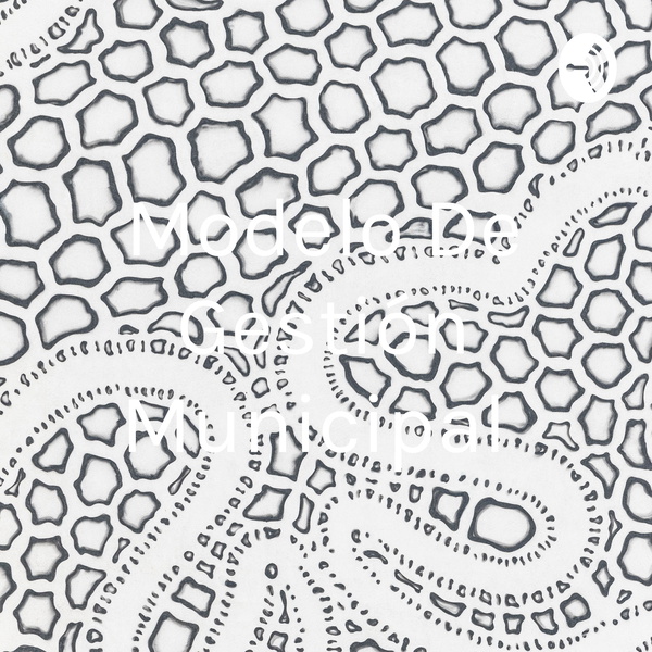 Artwork for Modelo De Gestión Municipal