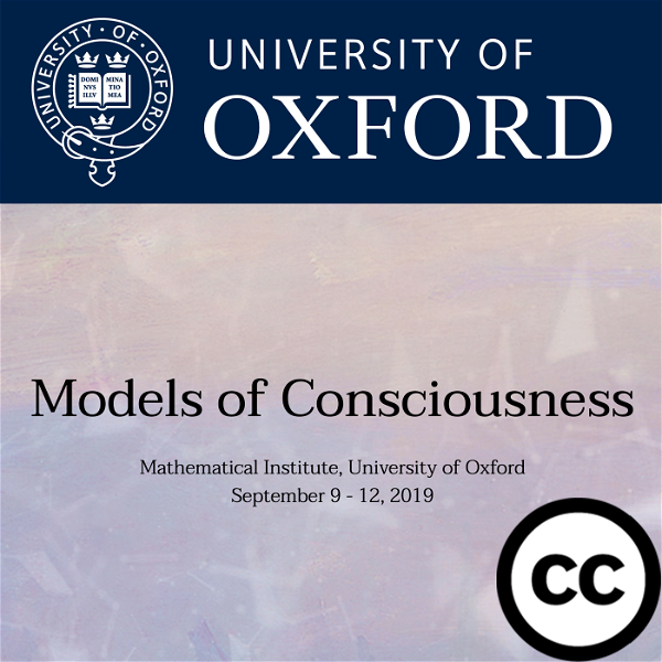 Artwork for Models of Consciousness