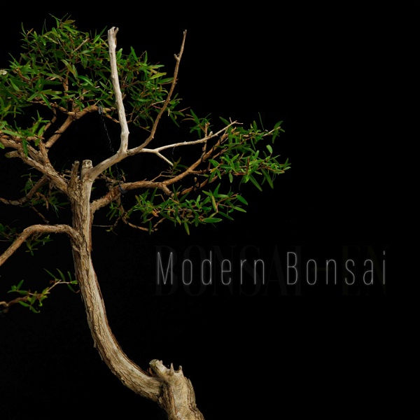 Artwork for Modern Bonsai