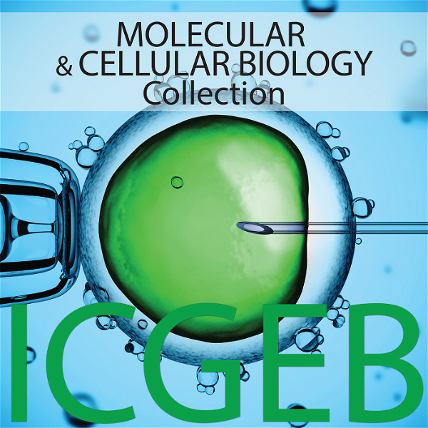 Artwork for Molecular and Cellular Biology