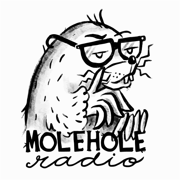Artwork for MoleHole Radio