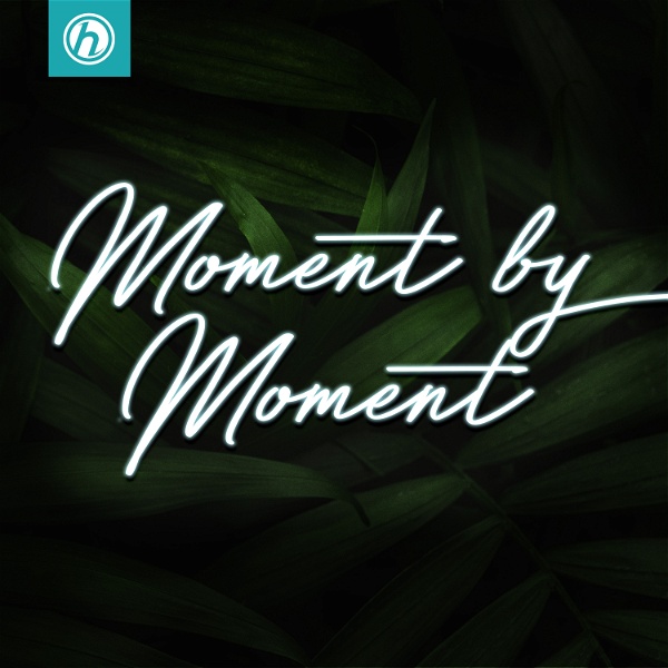 Artwork for Moment by Moment