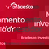Momento Investidor