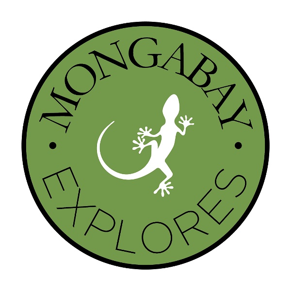 Artwork for Mongabay Explores