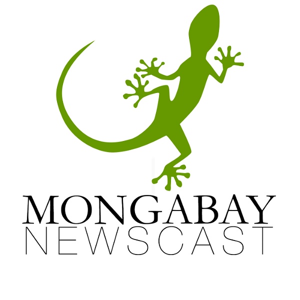 Artwork for Mongabay Newscast