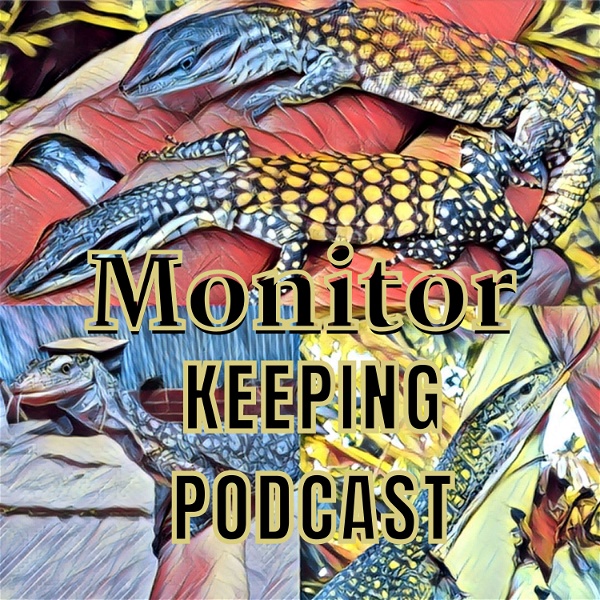 Artwork for Monitor Keeping Podcast