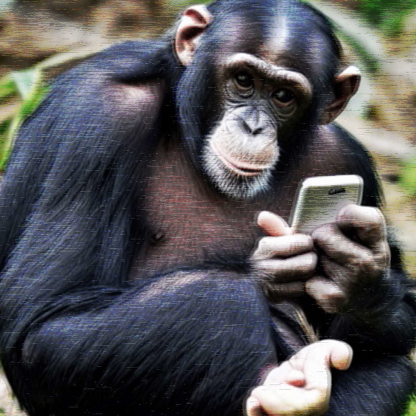 Artwork for MONKEY STUDIES
