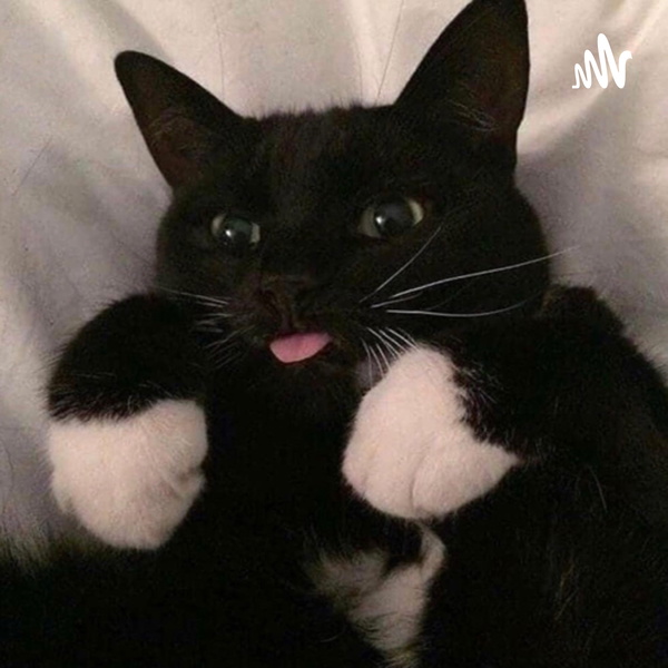 Artwork for Squeak and the Drako Show