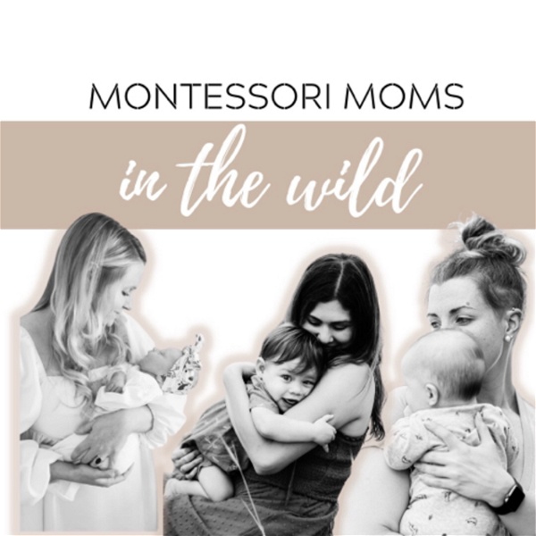 Artwork for Montessori Moms in the Wild