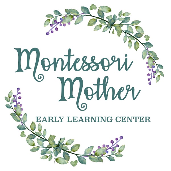 Artwork for Montessori Mother Podcast