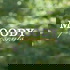 Moody Presents