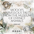 Moooi's Marvellous Tales from the Museum of Extinct Animals