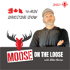 Moose on The Loose