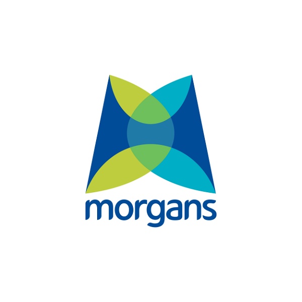 Artwork for Morgans Financial Limited