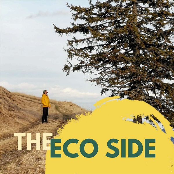 Artwork for The Eco Side