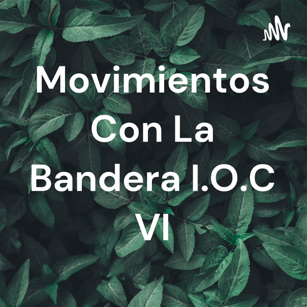 Artwork for Movimientos Con La Bandera I.O.C VI