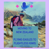 Moving to New Zealand - Eagles to Kiwis