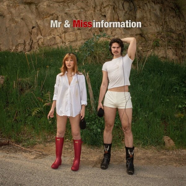 Artwork for Mr and Missinformation