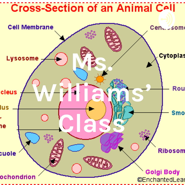 Artwork for Ms. Williams' Class