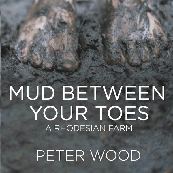 Artwork for Mud Between Your Toes podcasts