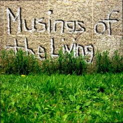 Artwork for Musings of the Living