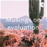 Musings on evaluation