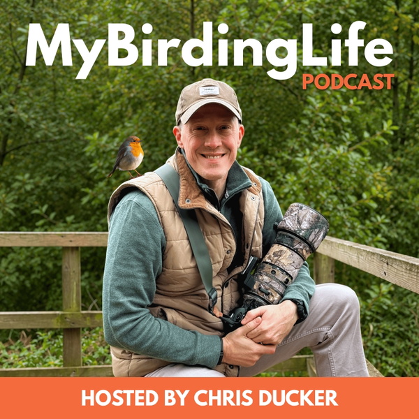 Artwork for My Birding Life