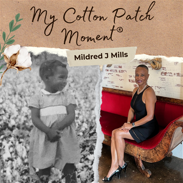 Artwork for My Cotton Patch Moment