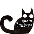 מי חטף את אלעד