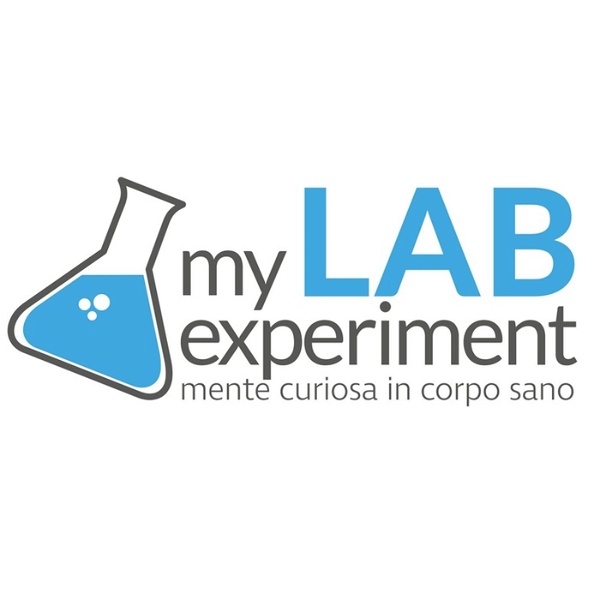 Artwork for My Lab Experiment