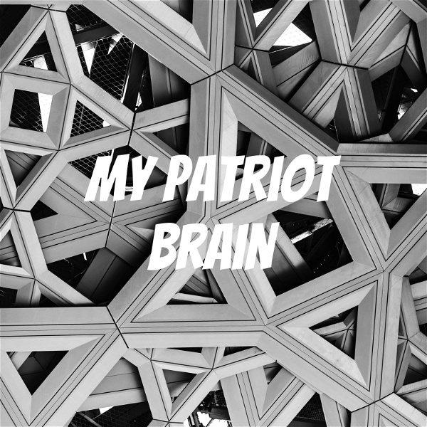 Artwork for My Patriot Brain