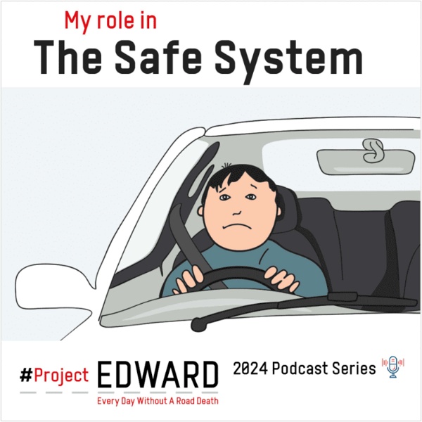 Artwork for My Role in The Safe System