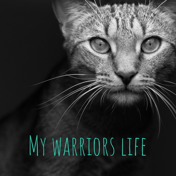Artwork for My warriors life