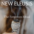 NEW ELEUSIS Podcast | Psilocybin-Retreat