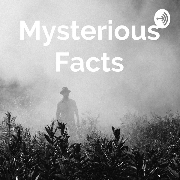 Artwork for Mysterious Nights