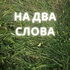На два слова