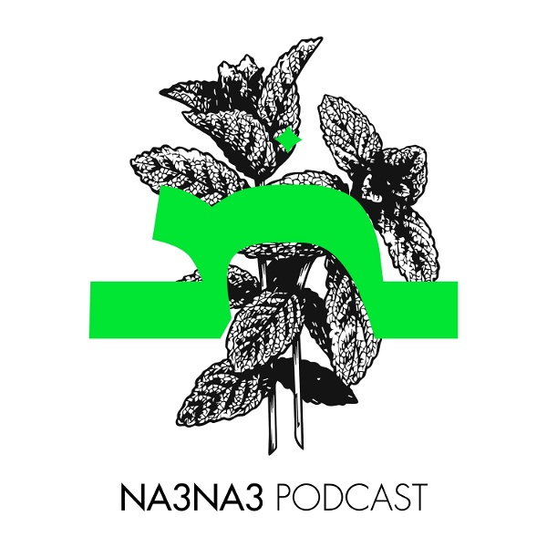 Artwork for na3na3 podcast