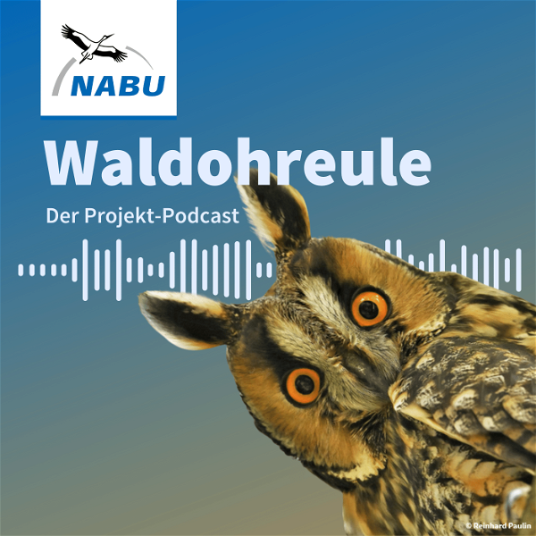 Artwork for NABU-Podcast: Die Waldohreule