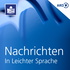 Nachrichten in Leichter Sprache für Mitteldeutschland