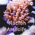 Nación Arrecife / Agua Dulce