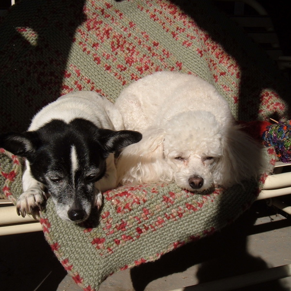 Artwork for Nana's Knitting Podcast