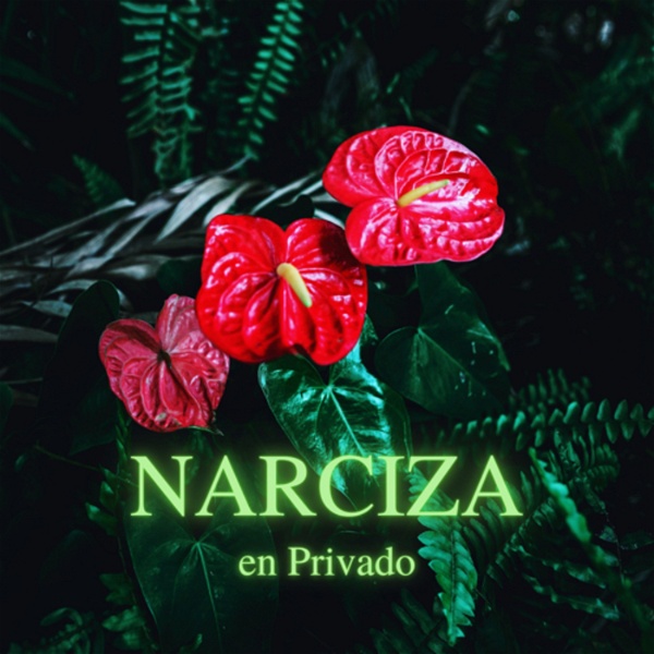 Artwork for NARCIZA en privado